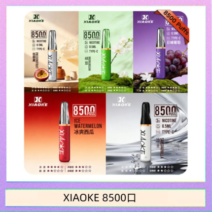 梟客XIAOKE一次性電子菸拋棄式8500口